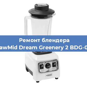 Замена щеток на блендере RawMid Dream Greenery 2 BDG-03 в Краснодаре